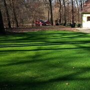 Seminte de gazon Universal 1 kg