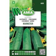 Seminte de castraveti Marketer 1,7 gr