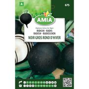 Seminte de ridichi negre Noir gros Rond D'hiver 6 grame