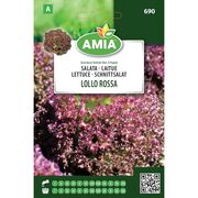 Seminte de salata creata rosie Lollo Rossa 1,8 gr