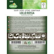 Seminte de salata creata rosie Lollo Rossa 1,8 gr