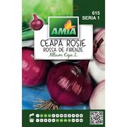 Seminte de ceapa rosie Rossa de Firenze 1 gram