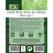 Seminte de ceapa rosie Rossa de Firenze 1 gram