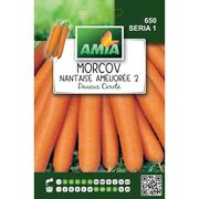 Seminte de morcov Nantaise amelioree 4 grame