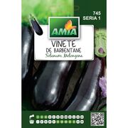 Seminte de vinete de Barbentane 1 gr