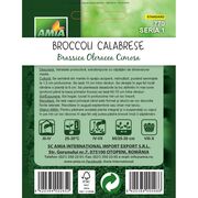 Seminte de broccoli Calabrese, 3 grame