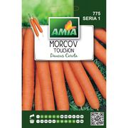 Seminte de morcov Touchon, 3 grame