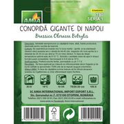 Seminte de conopida Gigante di Napoli, 0,8 gr