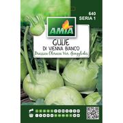 Seminte de gulie Vienna Bianco 3 grame