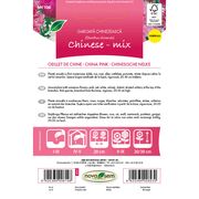 Seminte de flori garofita chinezeasca amestec Novasem 0,3 grame