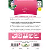 Seminte de flori Zorele amestec 2,5 grame