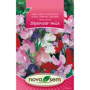 Seminte de flori Lathyrus spencer amestec 1 gram