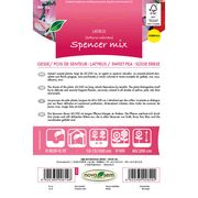 Seminte de flori Lathyrus spencer amestec 1 gram