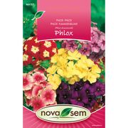 Seminte de flori Phlox amestec 0,3 grame Novasem