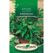 Seminte de leustean 0,3 grame