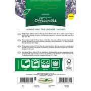 Seminte de lavanda ( levantica ), 0,1 gr