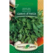 Seminte de patrunjel gigant de Italia, 3 grame