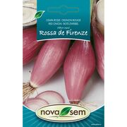 Seminte de ceapa rosie Rossa di Firenze 0,25 gr