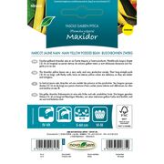 Seminte de fasole fideluta galbena Maxidor, 7 grame
