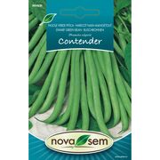 Seminte de fasole fideluta verde Contender 7 grame
