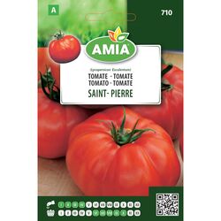 Seminte de tomate Saint-Pierre 0,6 gr