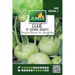 Seminte de gulie Vienna Bianco 3 grame