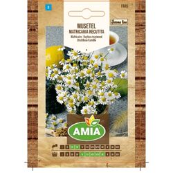Seminte de musetel, Matricaria recutita / Matricaria Chamomilla, 0,1 gr