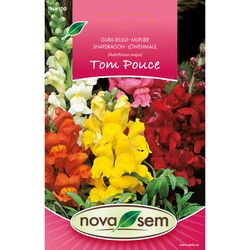 Seminte de flori Gura leului amestec, 0,3 grame