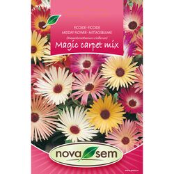Seminte de flori ficoide amestec Magic Carpet mix 0,3 gr