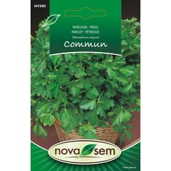 Seminte de patrunjel comun 3 gr