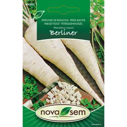 Seminte de patrunjel de radacina Berliner 2,5 grame
