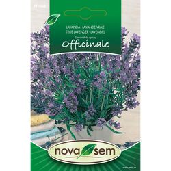 Seminte de lavanda ( levantica ), 0,1 gr