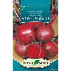Seminte de sfecla rosie de Detroit amelioree 3, 3 gr