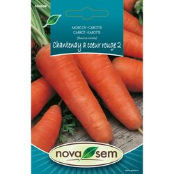 Seminte de morcov Chantenay a Coeur rouge 2, 1,5 gr