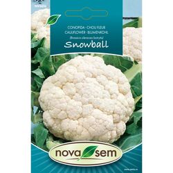 Seminte de conopida Snowball 0,6 grame
