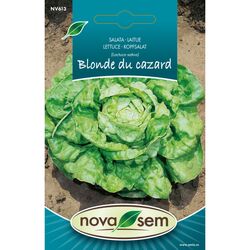 Seminte de salata Blonde du Cazard, 1 gram