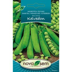 Seminte de mazare Kelvedon Wonder, 7 grame