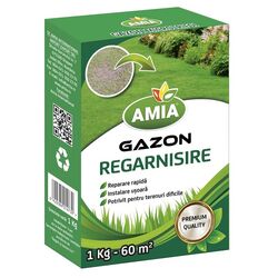 Seminte de gazon de regarnisire, reinsamantare, Amia 1 kg