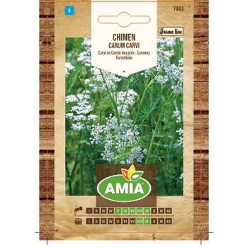 Seminte de chimen, Carum carvi, 0,5 gr