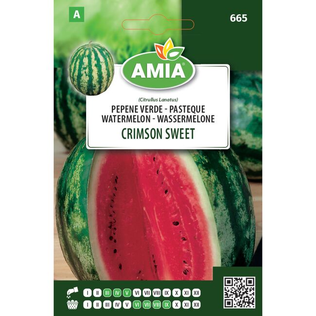 Seminte de pepene verde Crimson Sweet 1,6 grame