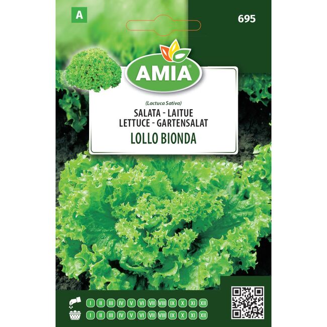 Seminte de salata Lollo Bionda 1,5 gr