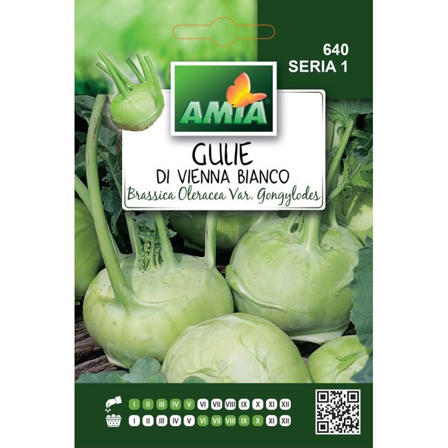 Seminte de gulie Vienna Bianco 3 grame