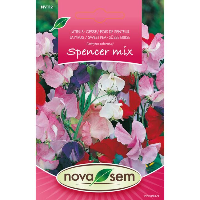 Seminte de flori Lathyrus spencer amestec 1 gram
