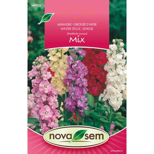 Seminte de flori Mixandre amestec simple, 0,25 grame