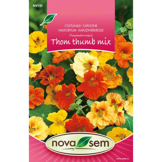 Seminte de flori coltunasi Tom Thumb amestec 1,5 grame Novasem