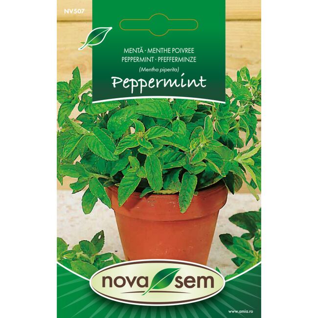 Seminte de menta piperita 0,07 grame