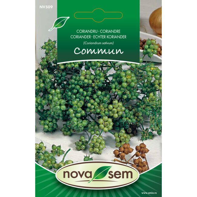 Seminte de coriandru 2 gr