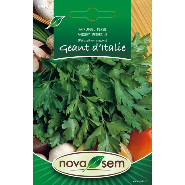 Seminte de patrunjel gigant de Italia, 3 grame