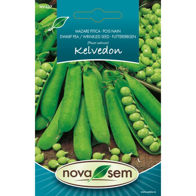 Seminte de mazare Kelvedon Wonder, 7 grame